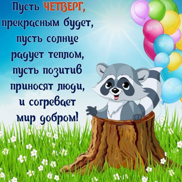 енот для детей