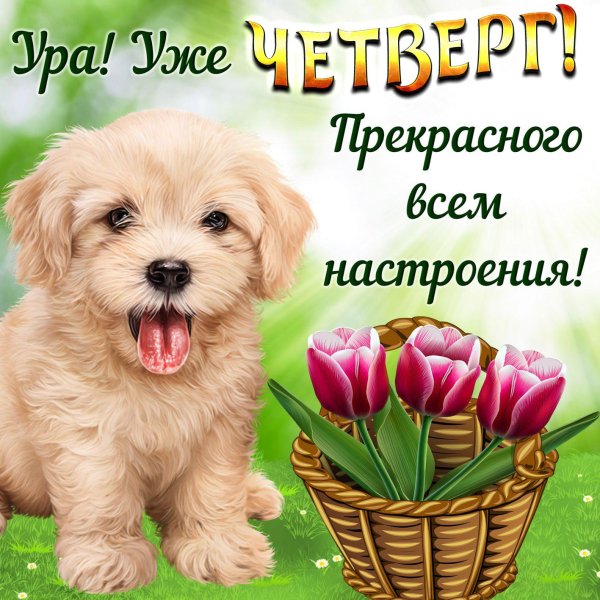 четверг открытки красивые