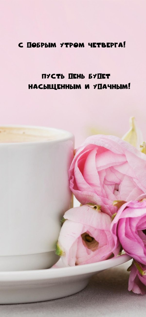 прикольные открытки с добрым утром вторника