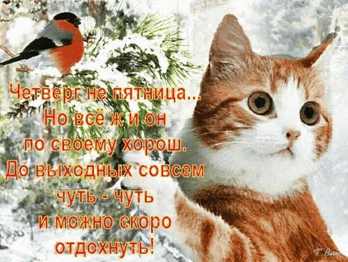 с последней январской пятницей