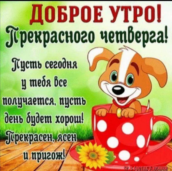 с четвергом доброе утро