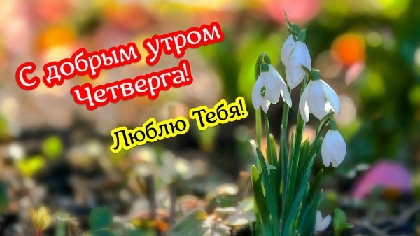доброго утра четверга и хорошего дня