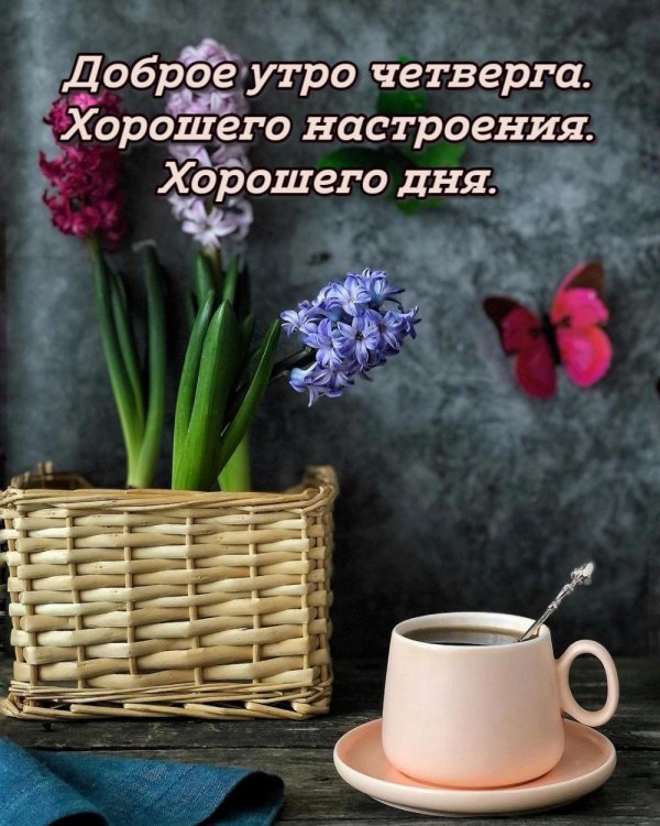доброе утро и хорошего дня красивые открытки
