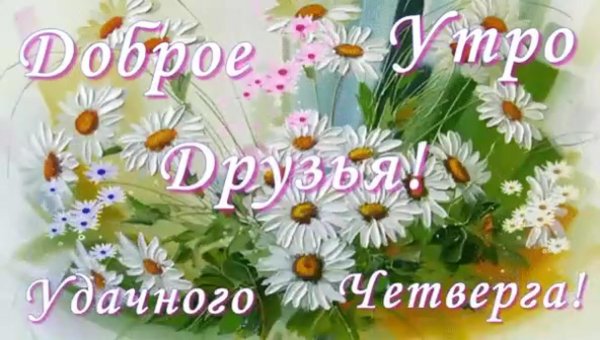 с добрым утром четверга открытки