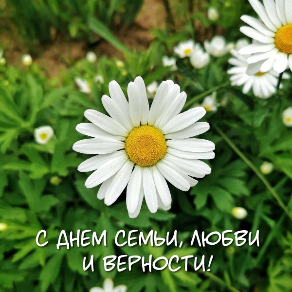 с день семьи любви и верности
