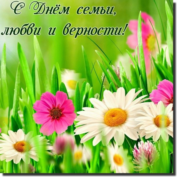 с днем семьи любви верности