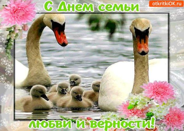 день семьи открытка поздравление