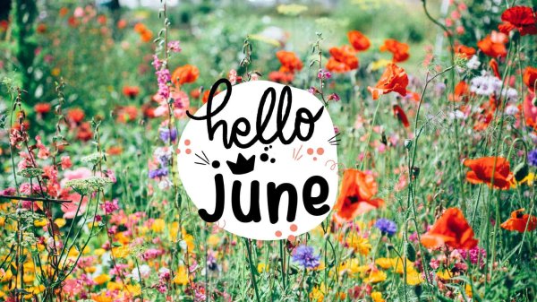 june june