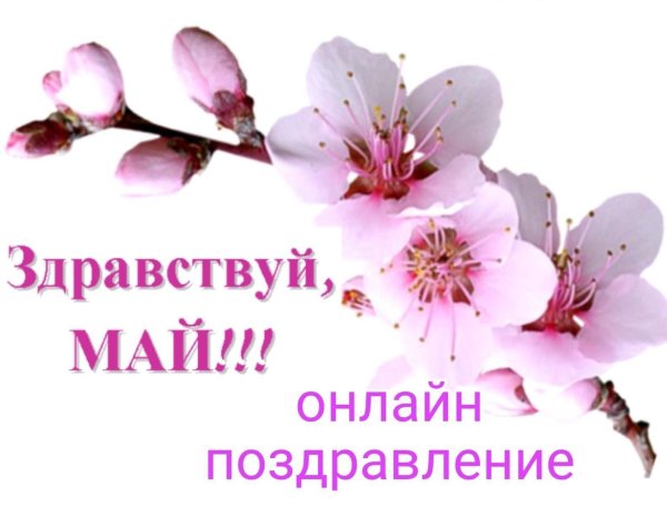 майские праздники