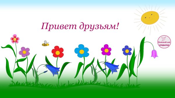 поляна цветов для детей