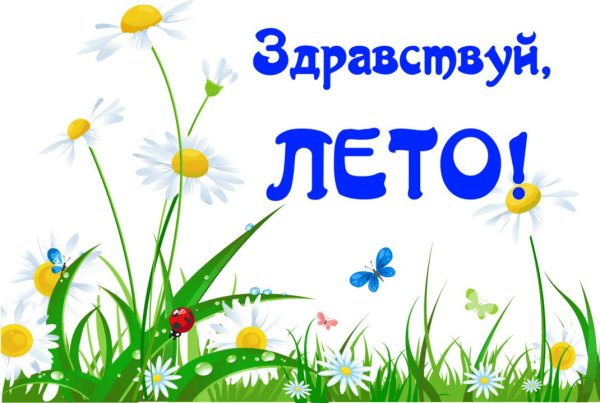 фон ромашки для детского сада