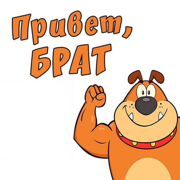 бульдог мультяшка