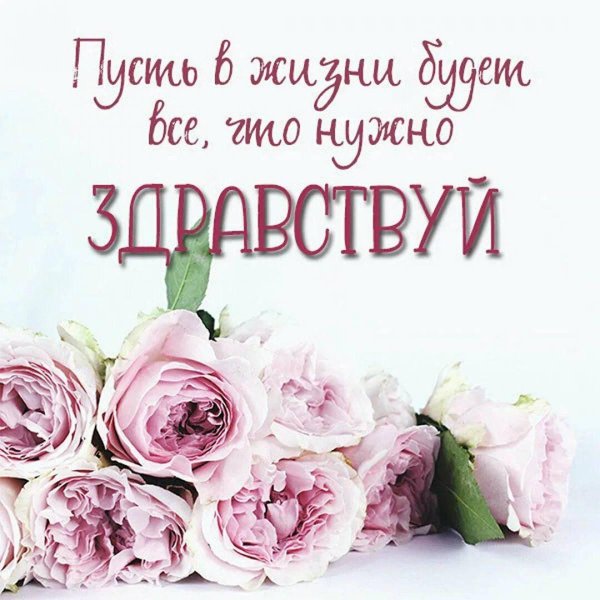 пионовидная роза