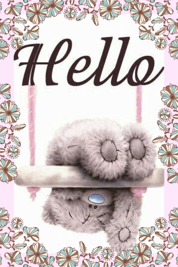 тедди скучает