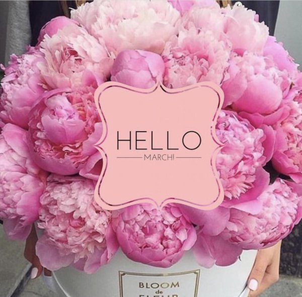 пион бомбовидный