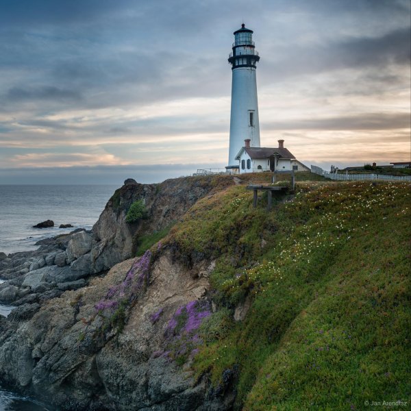 pigeon point light