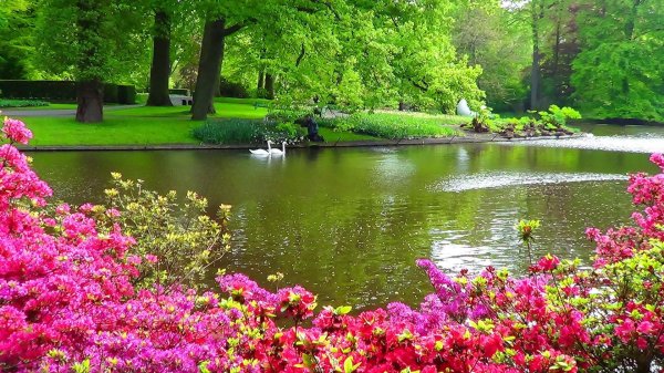 keukenhof gardens