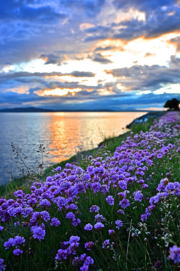 красивое лето