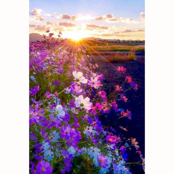 картины закат