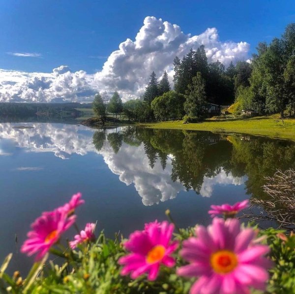 красота природа