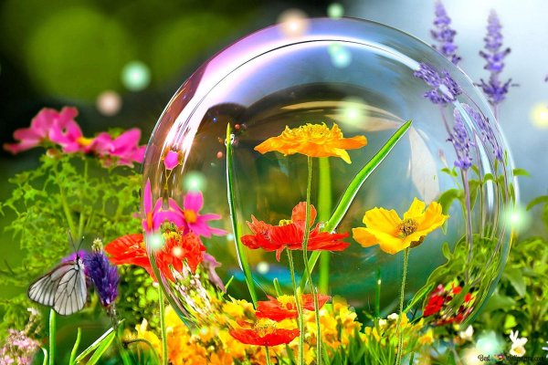 яркого лета