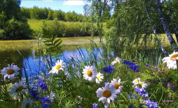фотопейзажи сергея краева