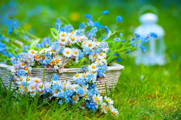 корзинка с полевыми цветами