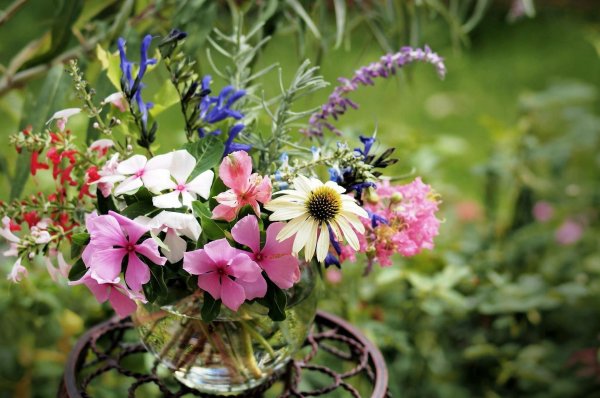 букет полевых цветов