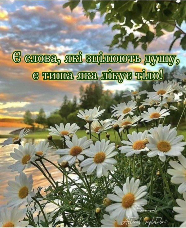 ромашковое лето