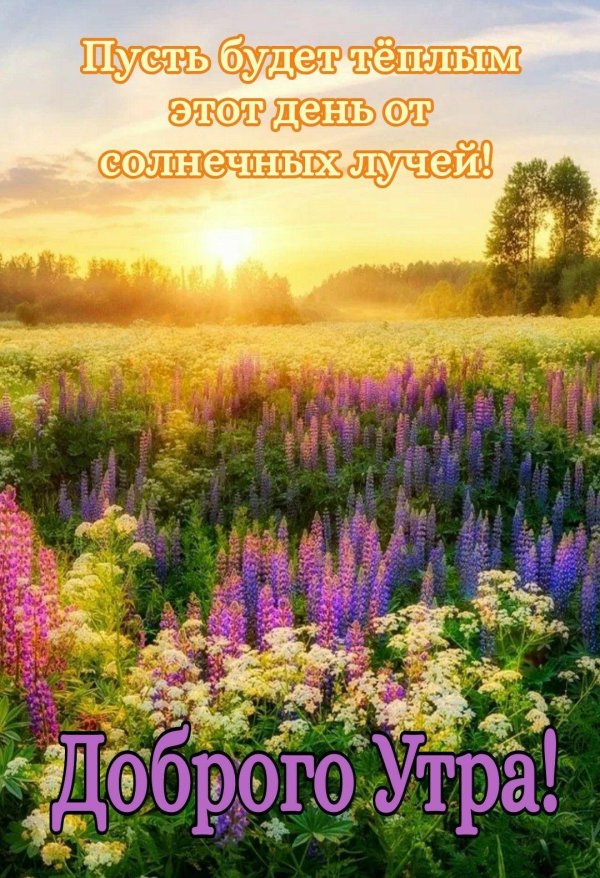 прекрасного сегодняшнего дня