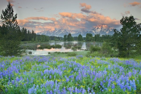 гранд титон горные луга