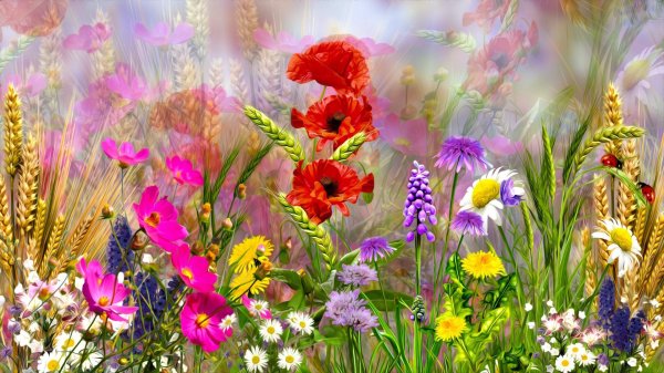 цветок полевой