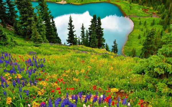 природа весна горы