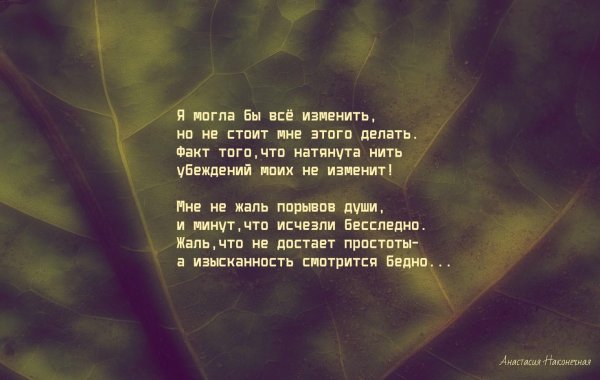 литература стих