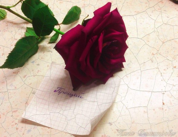 любовное письмо