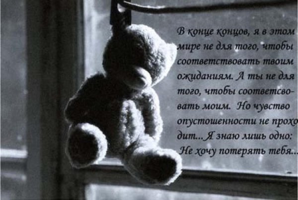 брошенный плюшевый мишка