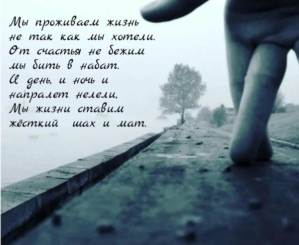 проживи жизнь