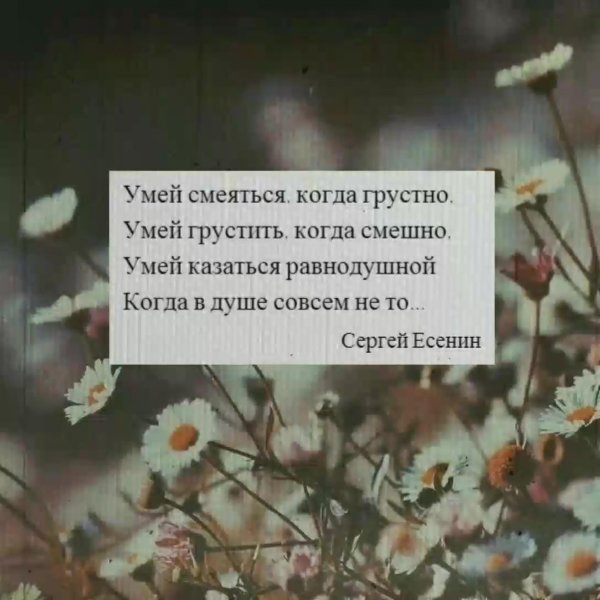 грустное стихотворение