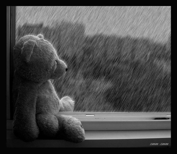 медвежонок грустит