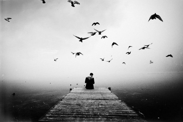 черно белая жизнь