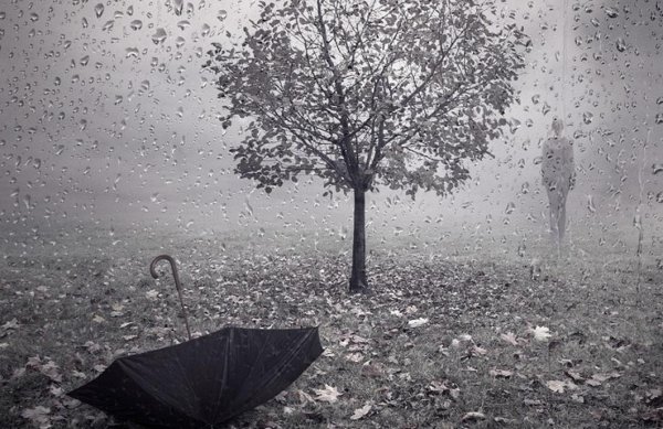 осень дожди