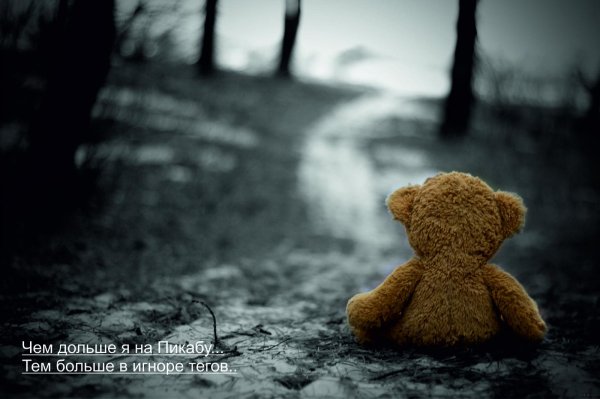 плюшевая мишка