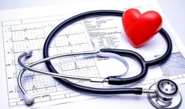 профилактика сердечно сосудистых заболеваний