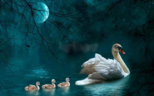 лебединое озеро