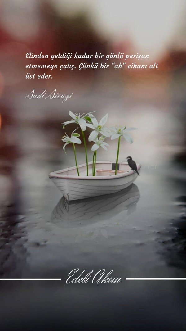 жизни мгновения