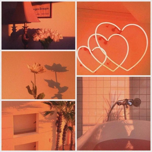 оранжевый цвет эстетика