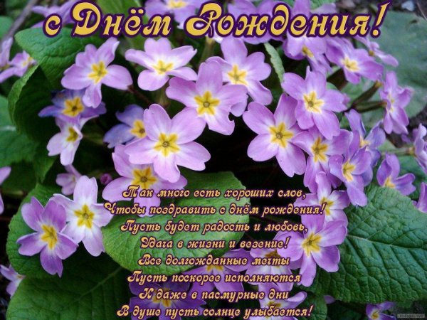 С цветами и стихами