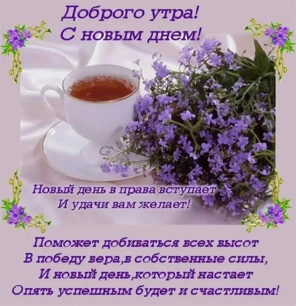 с добрым утром доброго дня