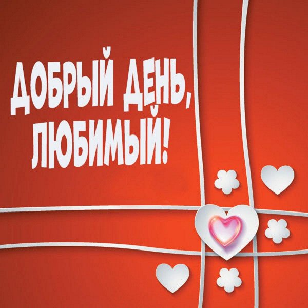 добрый день любимый