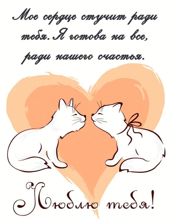 любимому котенку открытки